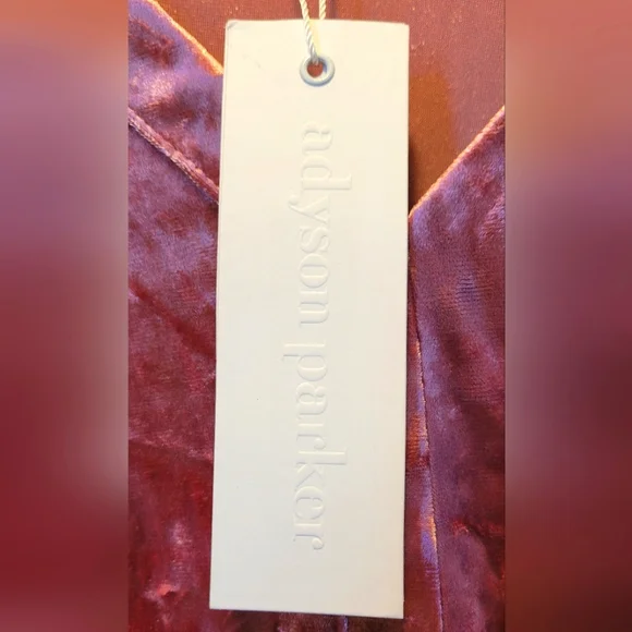 ❤️❤️ Addison Parker Blush Velvet Dress-Nordstrom - Picture 4 of 9